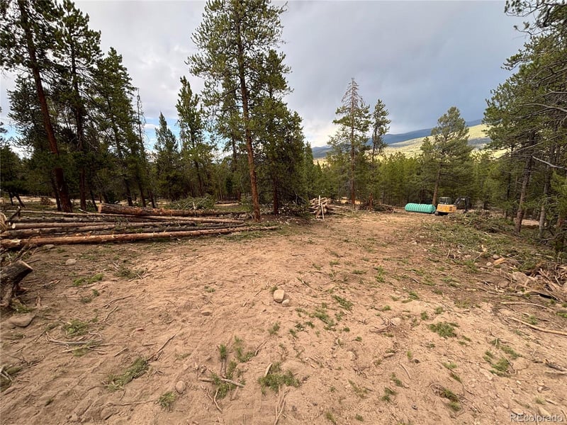680 Edward E Hill Dr, Twin Lakes, CO 81228