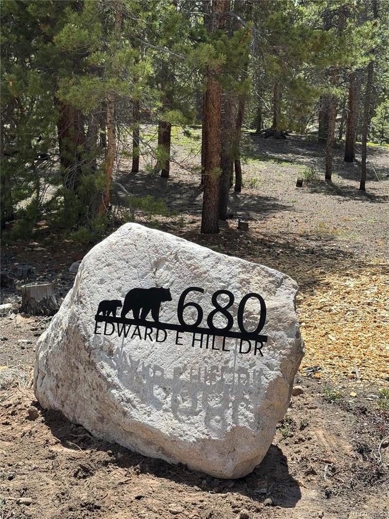 680 Edward E Hill Dr, Twin Lakes, CO 81228