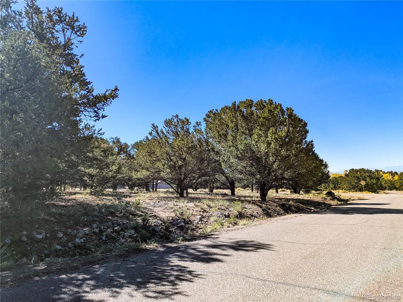 112 Baca Grant Way, Crestone, CO 81131