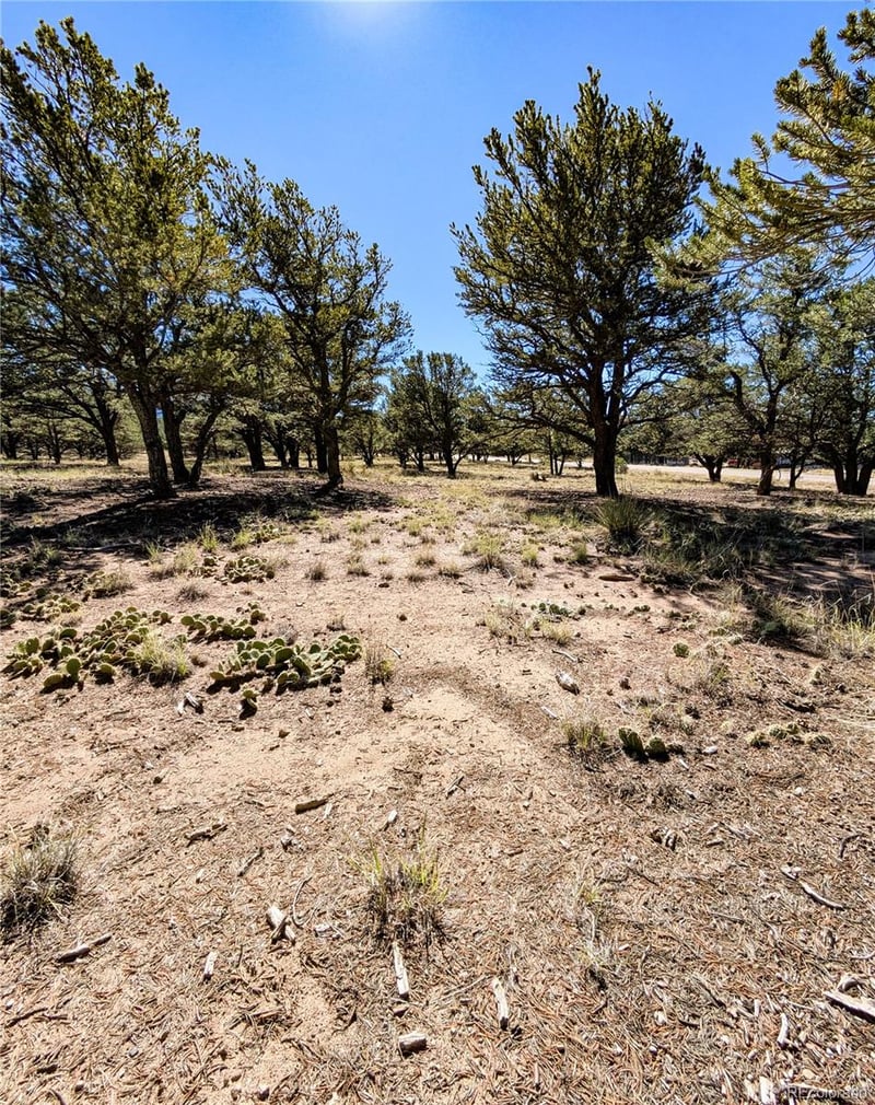 112 Baca Grant Way, Crestone, CO 81131