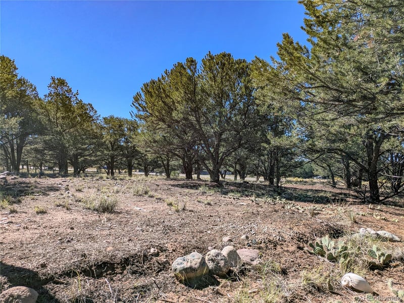 112 Baca Grant Way, Crestone, CO 81131
