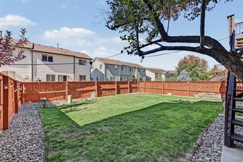1461 Live Oak Rd, Castle Rock, CO 80104