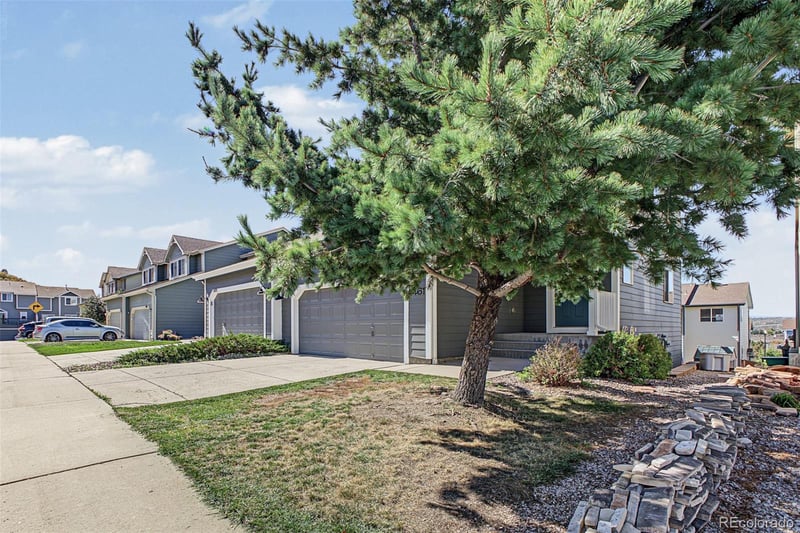 1461 Live Oak Rd, Castle Rock, CO 80104