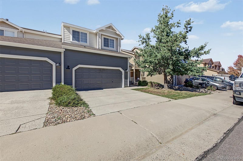 1461 Live Oak Rd, Castle Rock, CO 80104