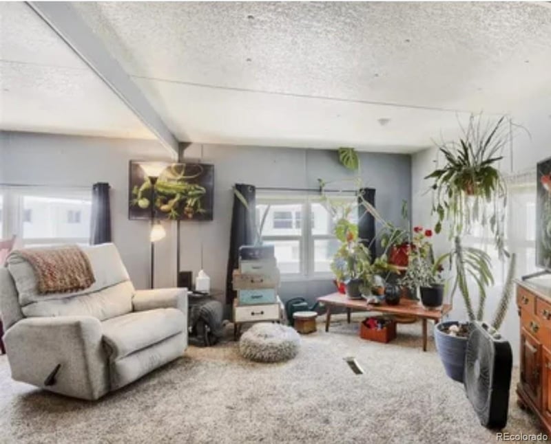 951 17 Ave, Longmont, CO 80501