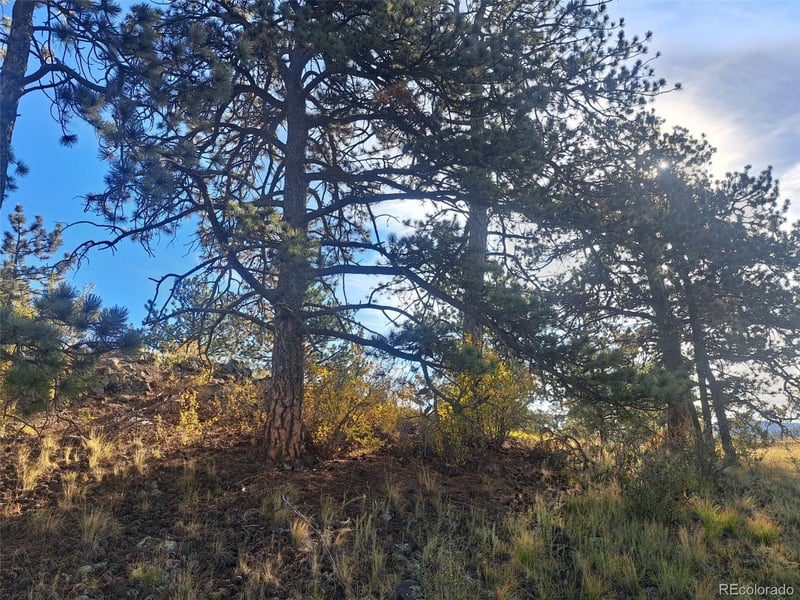 2151 County Road 403, Lake George, CO 80827