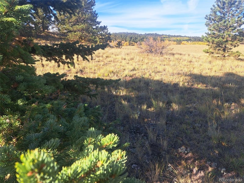 2151 County Road 403, Lake George, CO 80827