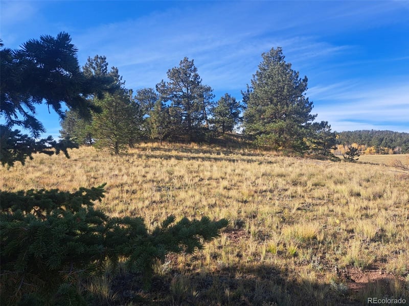 2151 County Road 403, Lake George, CO 80827
