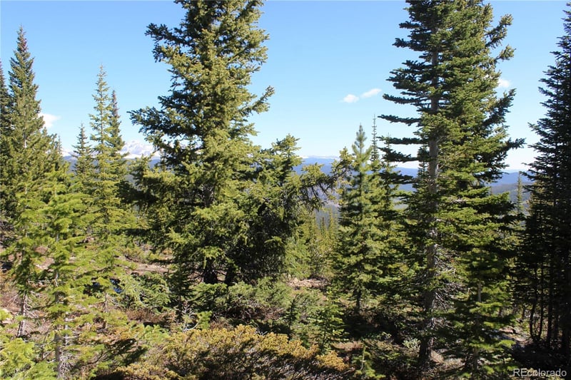 18456 Illinois Lode Lot 18456, Black Hawk, CO 80422