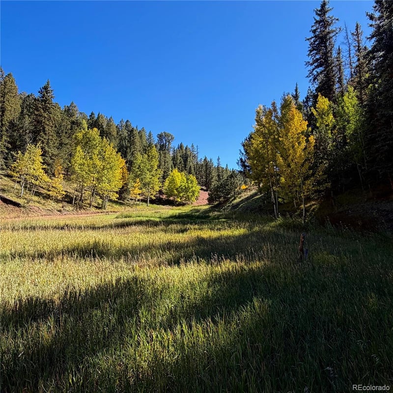 535 Willow Rd, Divide, CO 80814