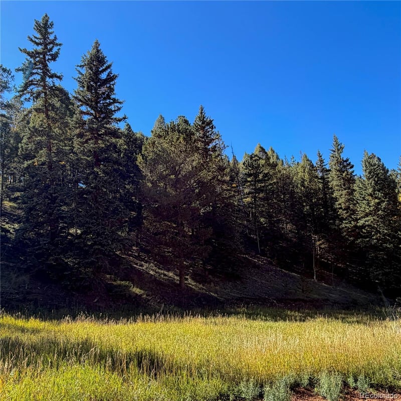 535 Willow Rd, Divide, CO 80814