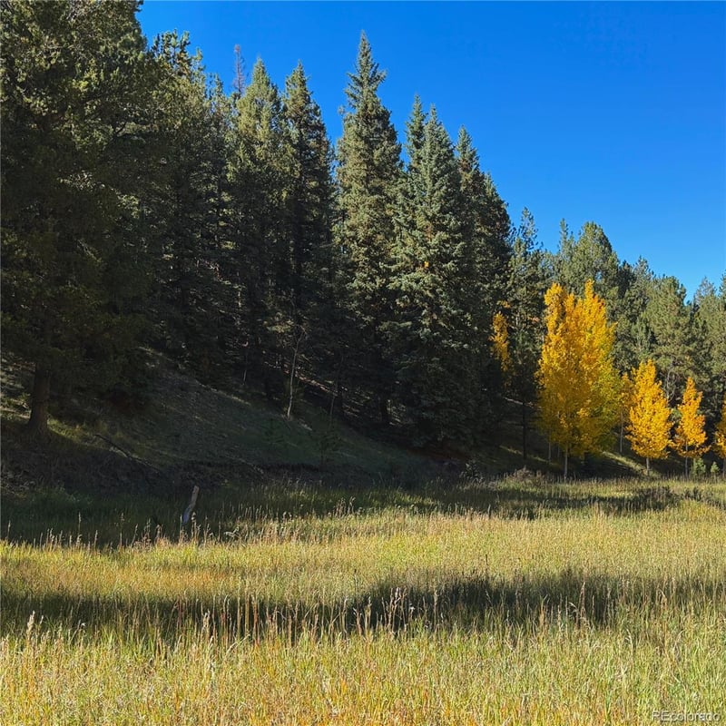 535 Willow Rd, Divide, CO 80814