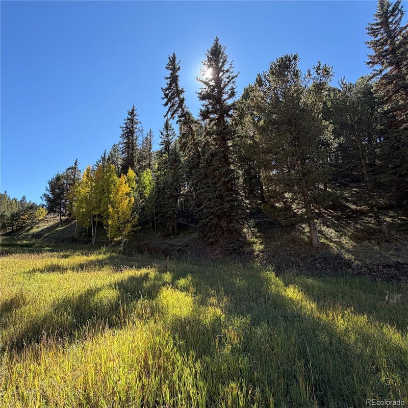 535 Willow Rd, Divide, CO 80814