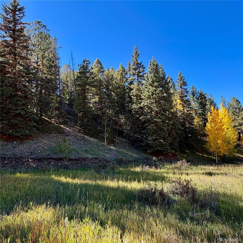 535 Willow Rd, Divide, CO 80814