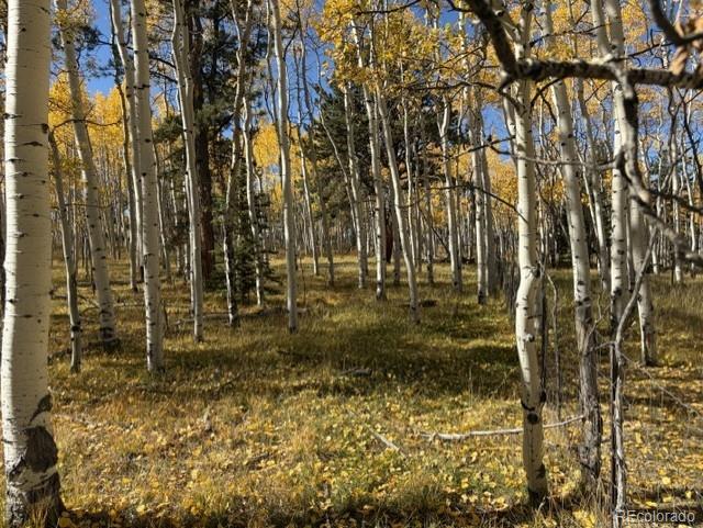 417 Aspen Way Dr, Florissant, CO 80816