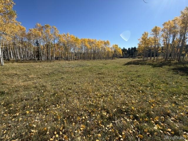 417 Aspen Way Dr, Florissant, CO 80816