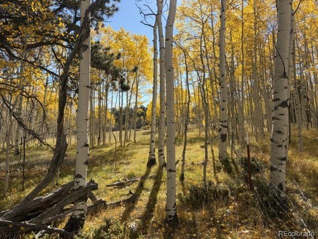 417 Aspen Way Dr, Florissant, CO 80816