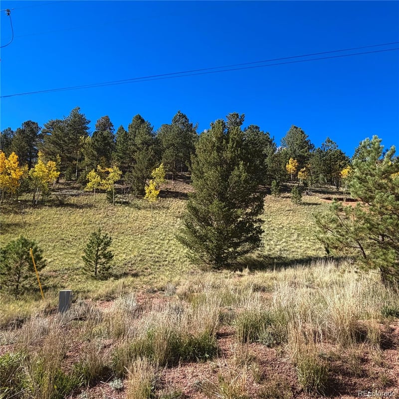 200 Beaver Pond Rd, Divide, CO 80814