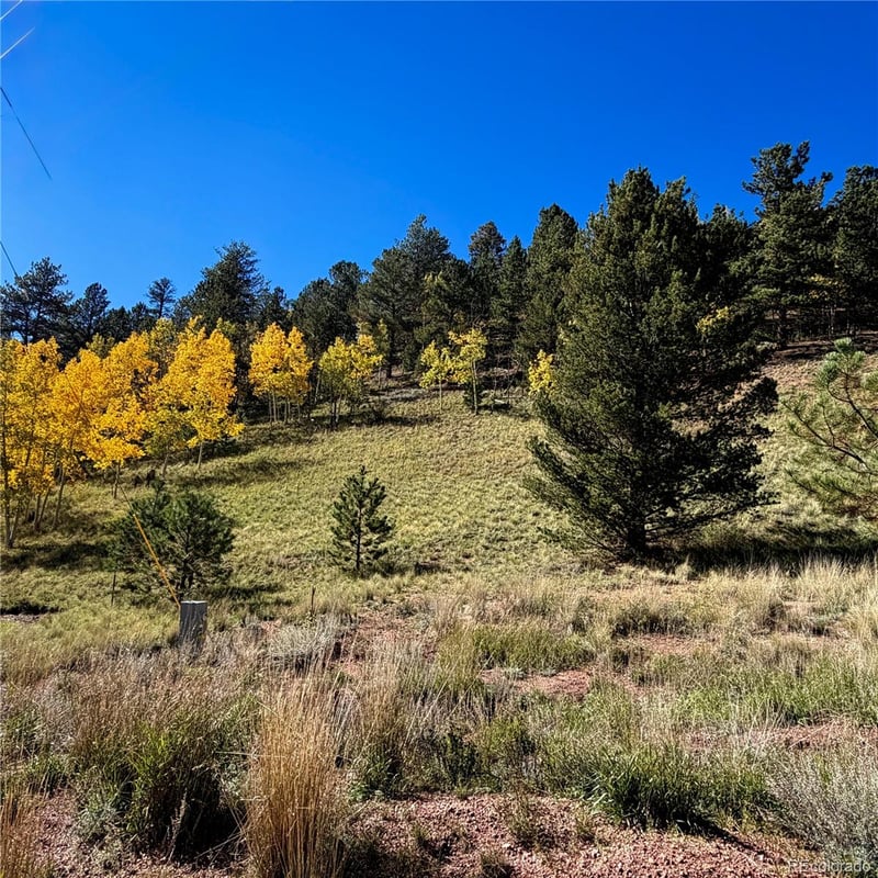 200 Beaver Pond Rd, Divide, CO 80814