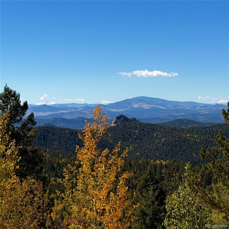 624 Witherite Dr, Divide, CO 80814