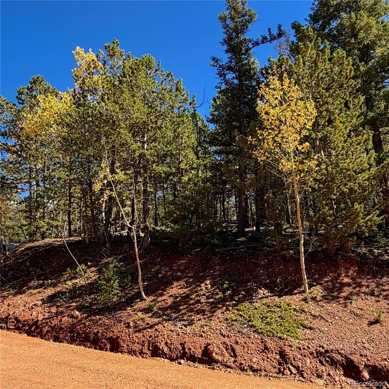 624 Witherite Dr, Divide, CO 80814