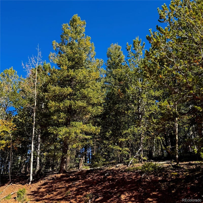 624 Witherite Dr, Divide, CO 80814