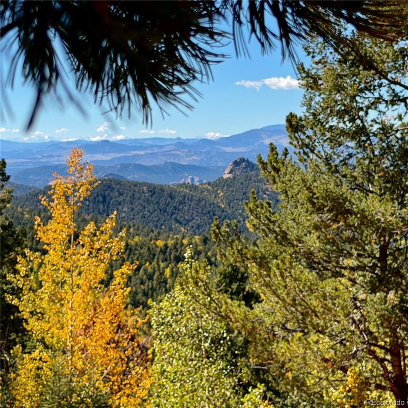 624 Witherite Dr, Divide, CO 80814