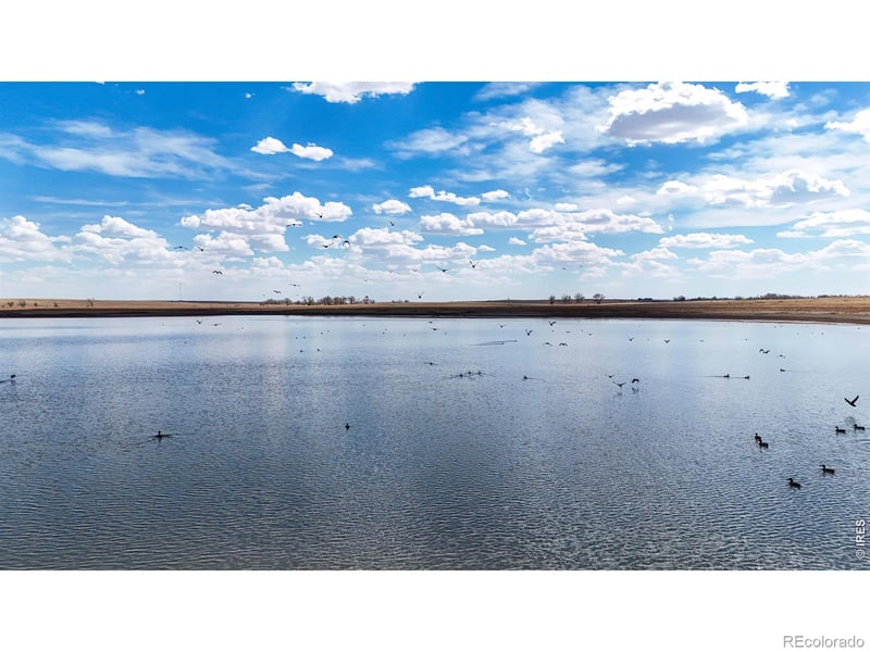 38250 County Road 170, Agate, CO 80101