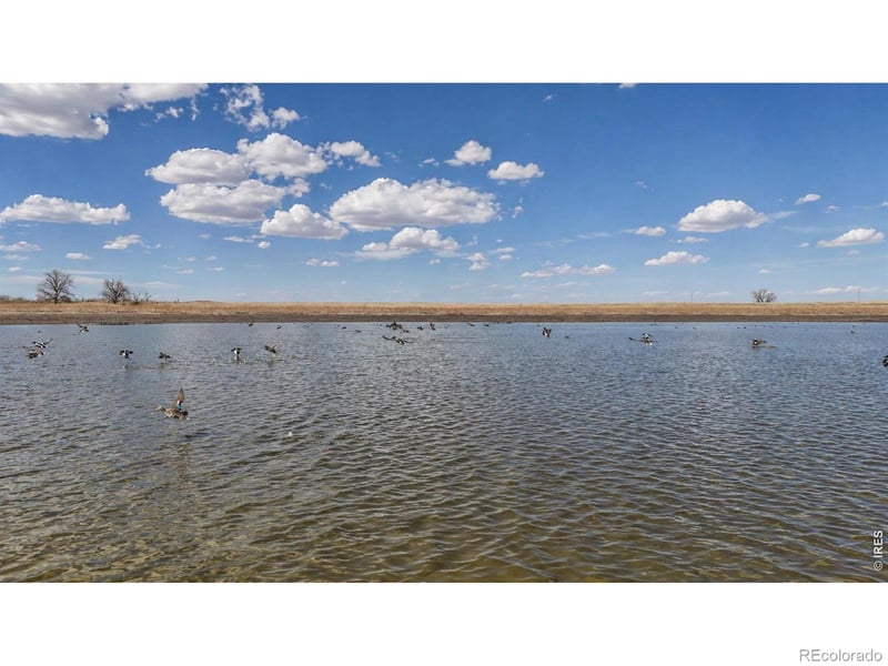 38250 County Road 170, Agate, CO 80101