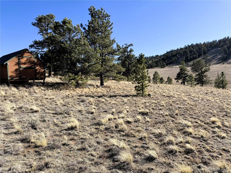 0000 Crazy Horse Trl Lot 5555, Hartsel, CO 80449