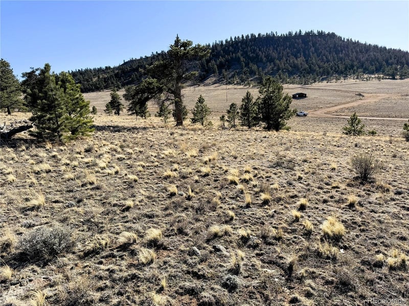 0000 Crazy Horse Trl Lot 5555, Hartsel, CO 80449