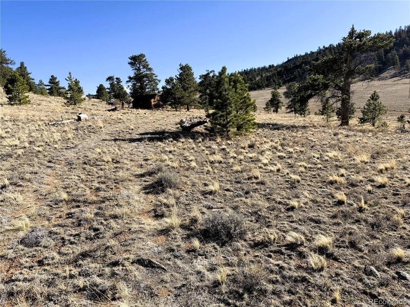 0000 Crazy Horse Trl Lot 5555, Hartsel, CO 80449