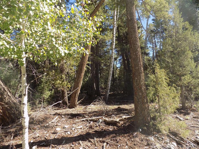 Zapata Ct Lot 4, Mosca, CO 81146