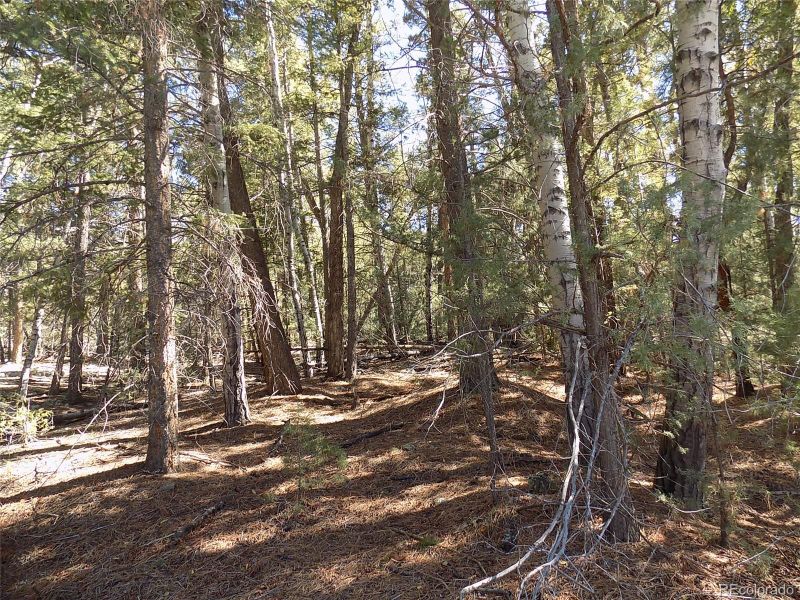 Zapata Ct Lot 4, Mosca, CO 81146