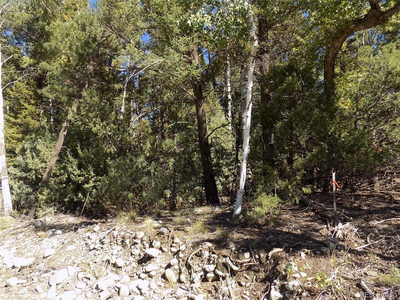 Zapata Ct Lot 4, Mosca, CO 81146