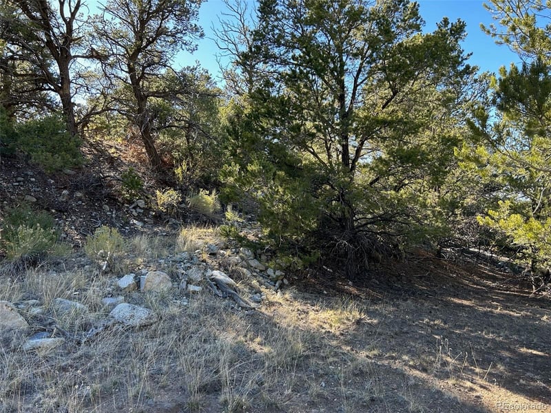 124 Indian Hill Rd, Mosca, CO 81146