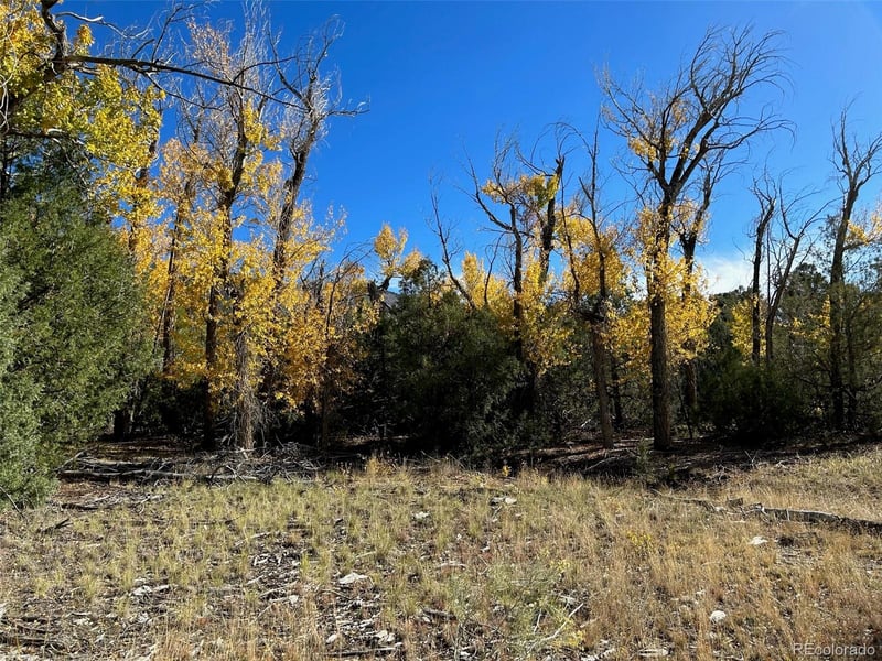 124 Indian Hill Rd, Mosca, CO 81146