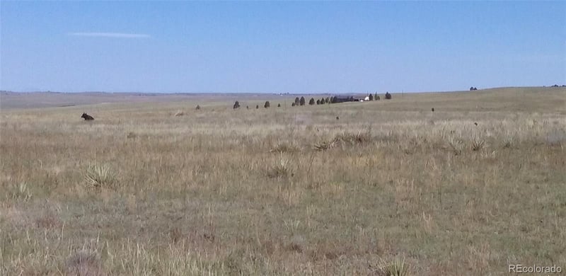 12115 St Hwy 86 Hw, Kiowa, CO 80117
