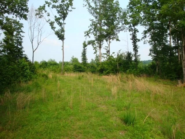 2 Salem Minor Hill Rd, Lester, AL 35647