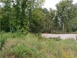 0 Frye, Columbia, TN 38401