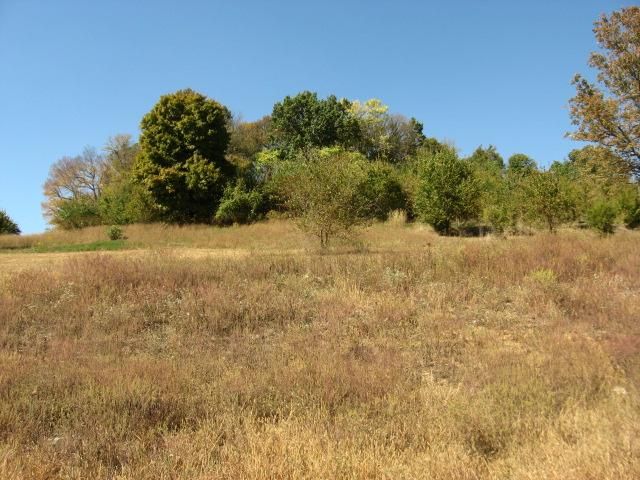 1517 Cayce Creek, Thompsons Station, TN 37179