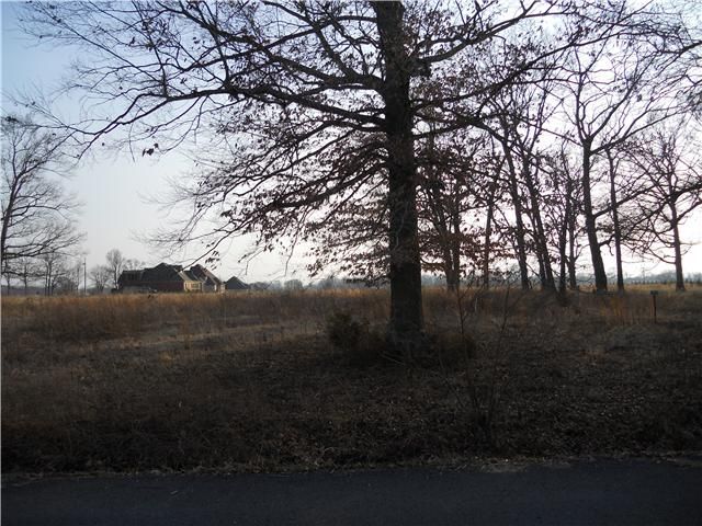 2 Bradshaw Rd, Lebanon, TN 37087