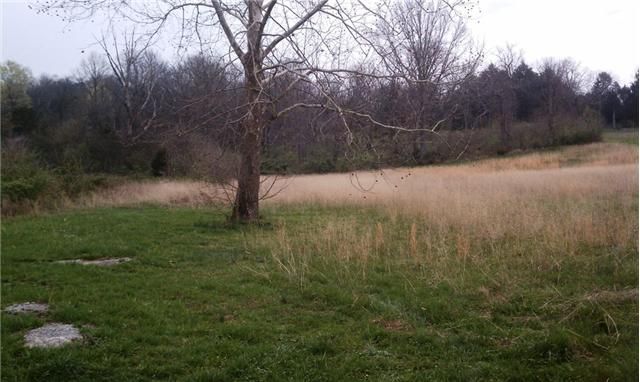 0 Goose Creek By Ps, Franklin, TN 37064