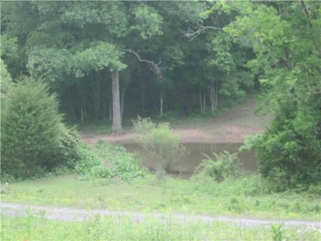 8626 Webb Rd, College Grove, TN 37046