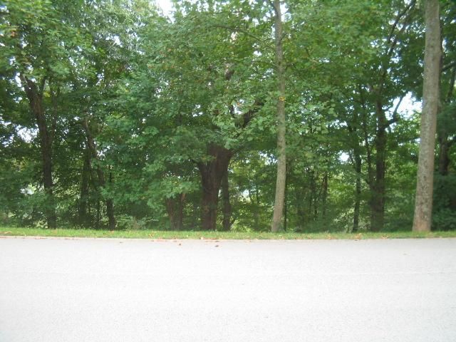 1317 Robert E Lee Ln, Brentwood, TN 37027