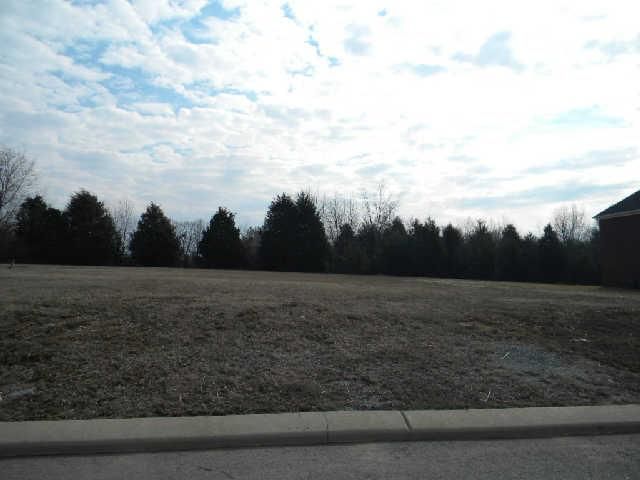 2002 Lynn Haven Ct, Mount Juliet, TN 37122