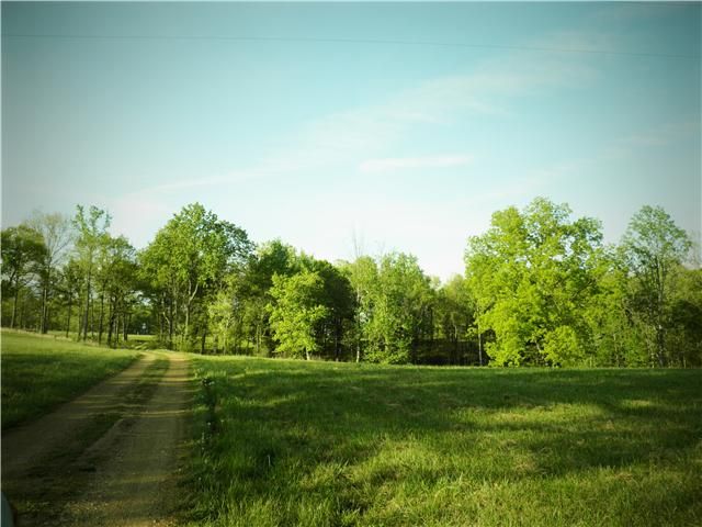 6128 Dewey Carr Rd, Bethpage, TN 37022