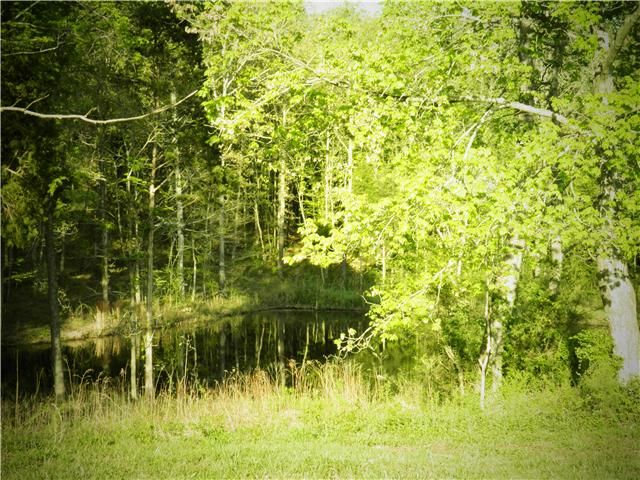 6128 Dewey Carr Rd, Bethpage, TN 37022