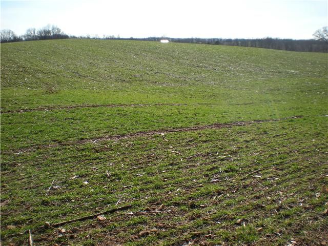 5150 Drake Rd, Cedar Hill, TN 37032