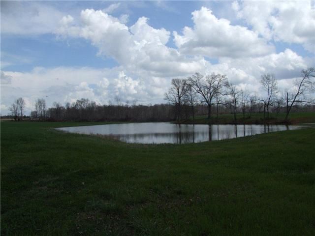 5002 Bill Baggett Rd, Cedar Hill, TN 37032